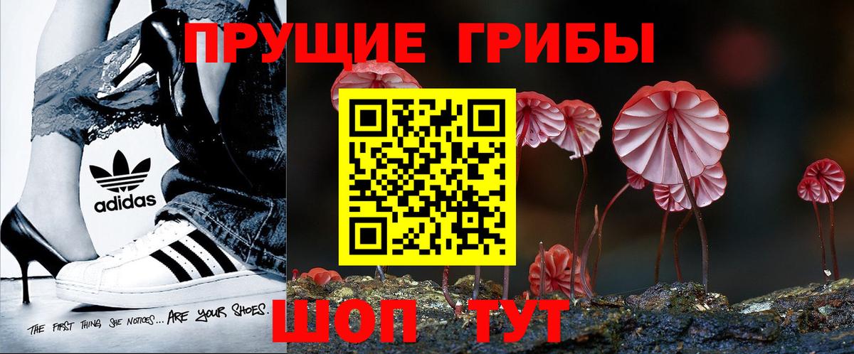 Галлюциногенные грибы мицелий Муром