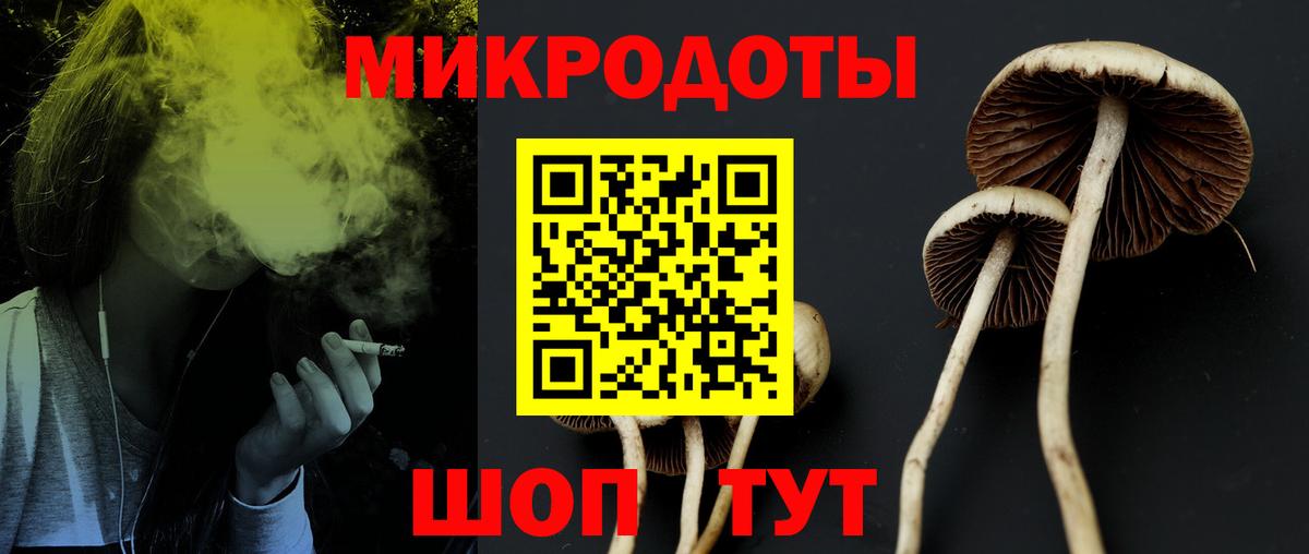 Псилоцибиновые грибы MAGIC MUSHROOMS  Псилоцибиновые грибы MAGIC MUSHROOMS  Муром  Вход с VPN 